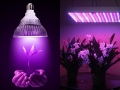 Лампа для подсветки и выращивания растений Uniel 9W, E27