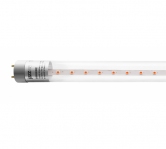 Лампа светодиодная LED 8Вт Т8 для растений прозрачная 600 мм G13 jazzway